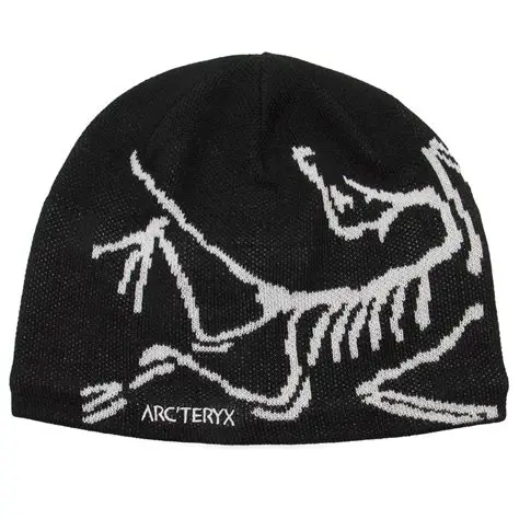Arc’teryx Beanie